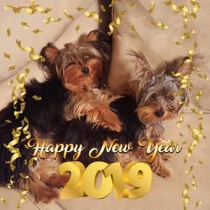 Meet your Posher, Helene